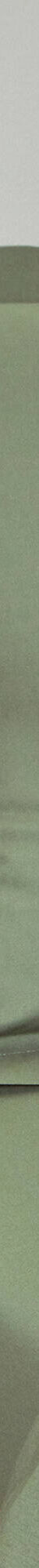 Linge de lit uni - coton bio** (vert olive) Linge de lit uni - coton bio** (vert olive)